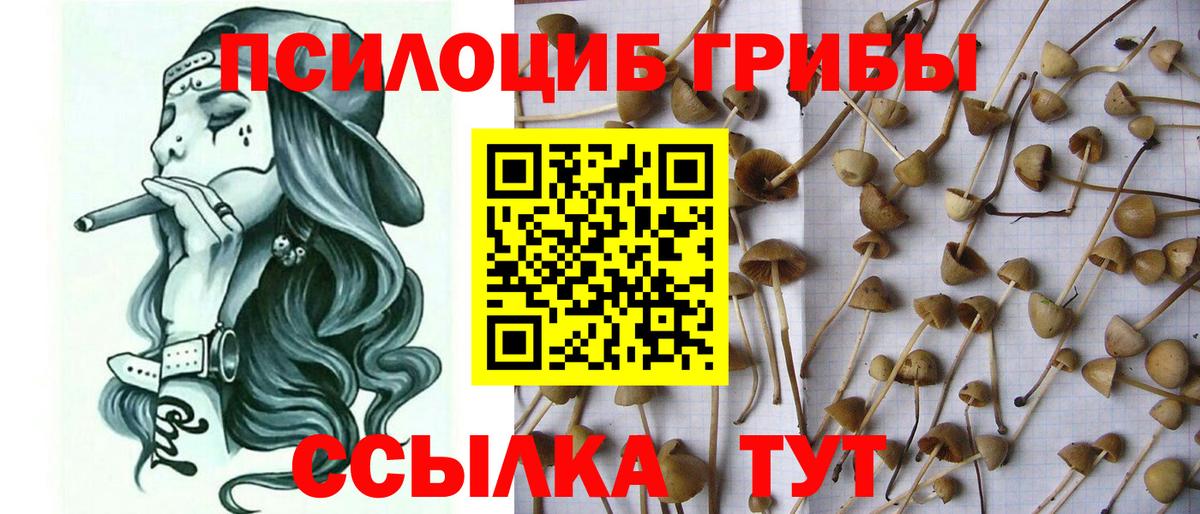 Кирово-Чепецк  Галлюциногенные грибы мицелий  Вход с VPN  Псилоцибиновые грибы ЛСД 